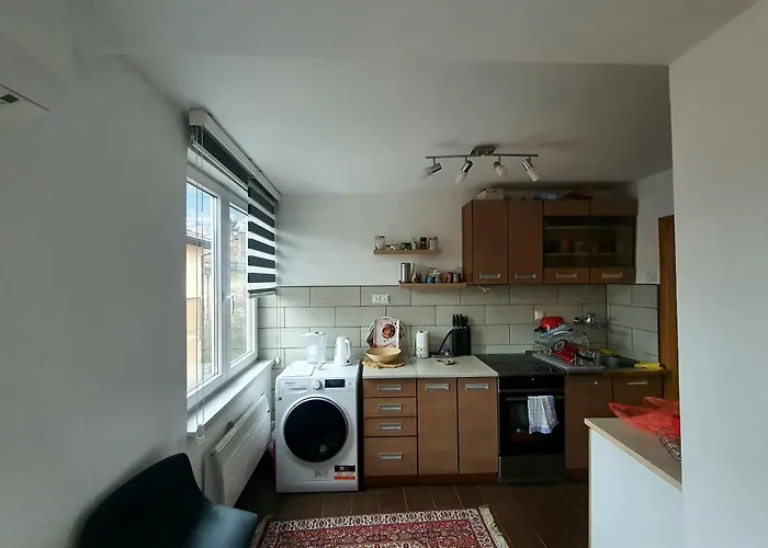 Heart Of Sarajevo,old Town-free Parking Appartement *